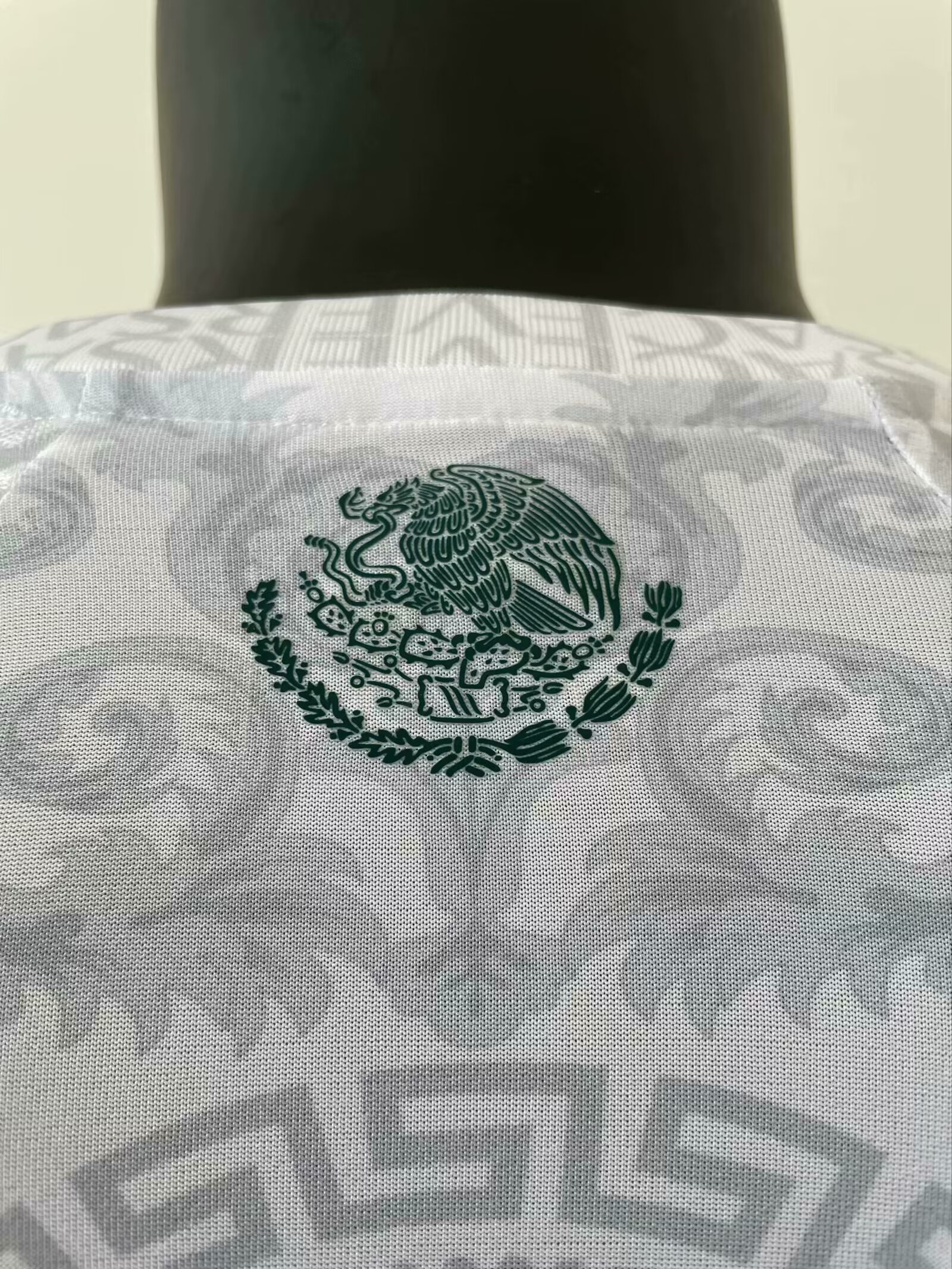 Mexico 2024 Special Jersey-Player Version