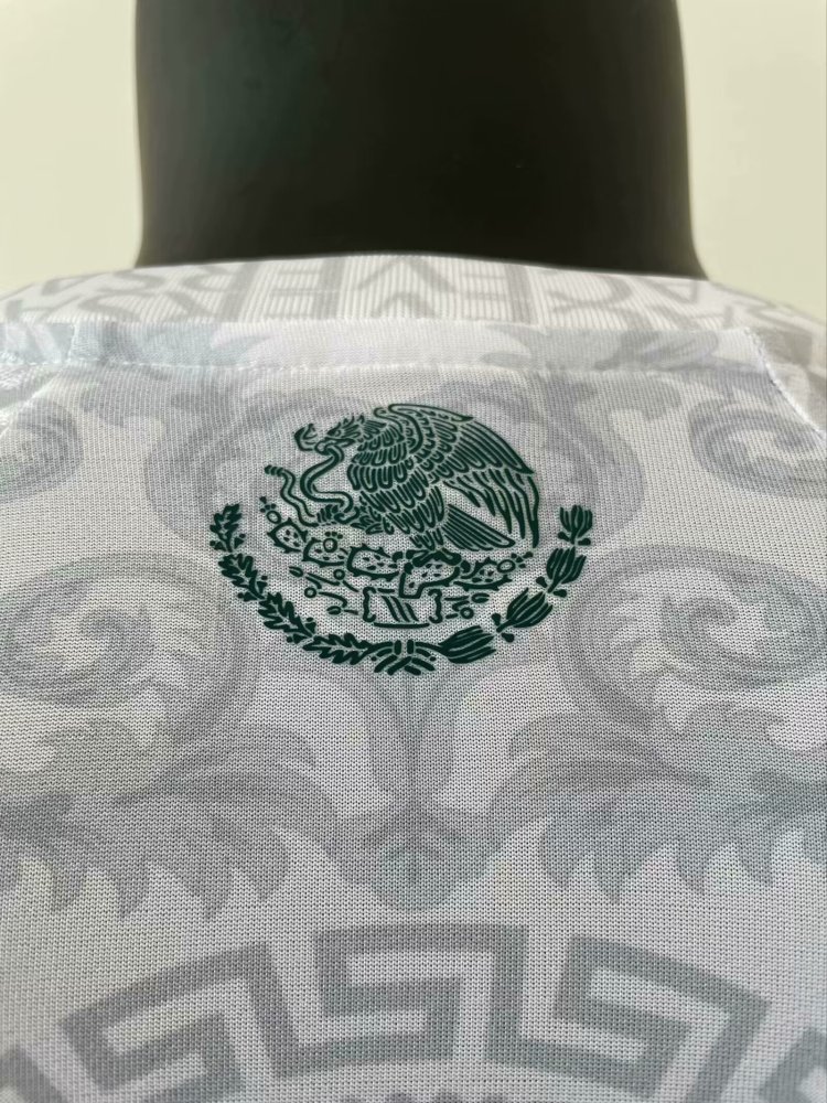 Mexico 2024 Special Jersey-Player Version