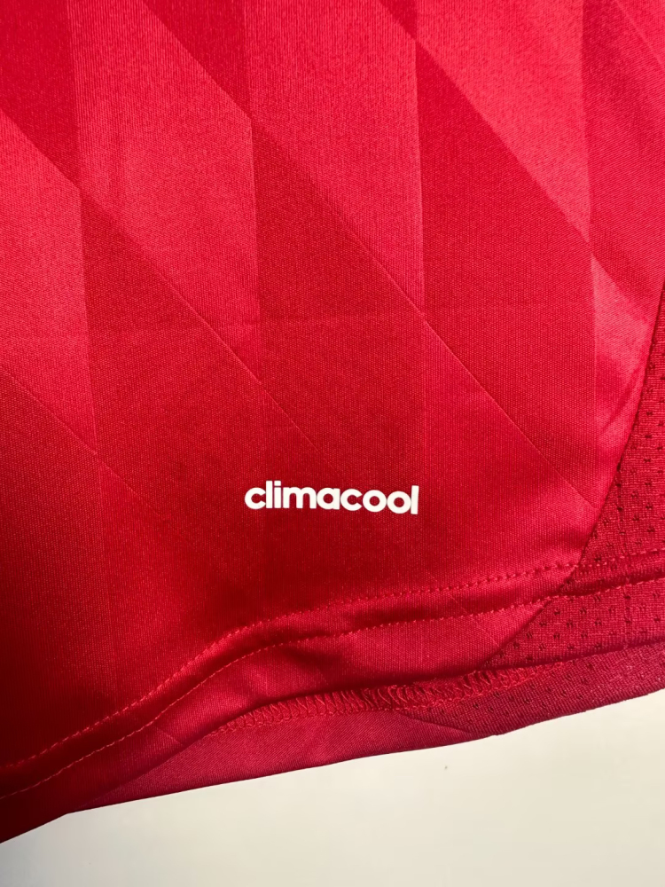 Bayern Munich Retro 2013-2014 home jersey