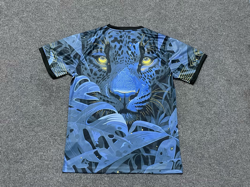 Brazil 2024  Special Soccer Jerseys - Fans Version