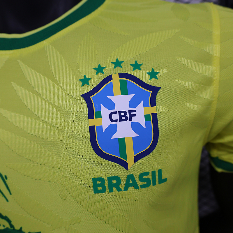 Brazil 24-25 Special Jersey-Player Version