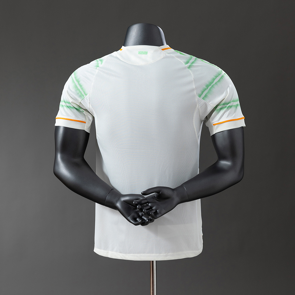 Celtic 25-26 Player Version Third Jersey