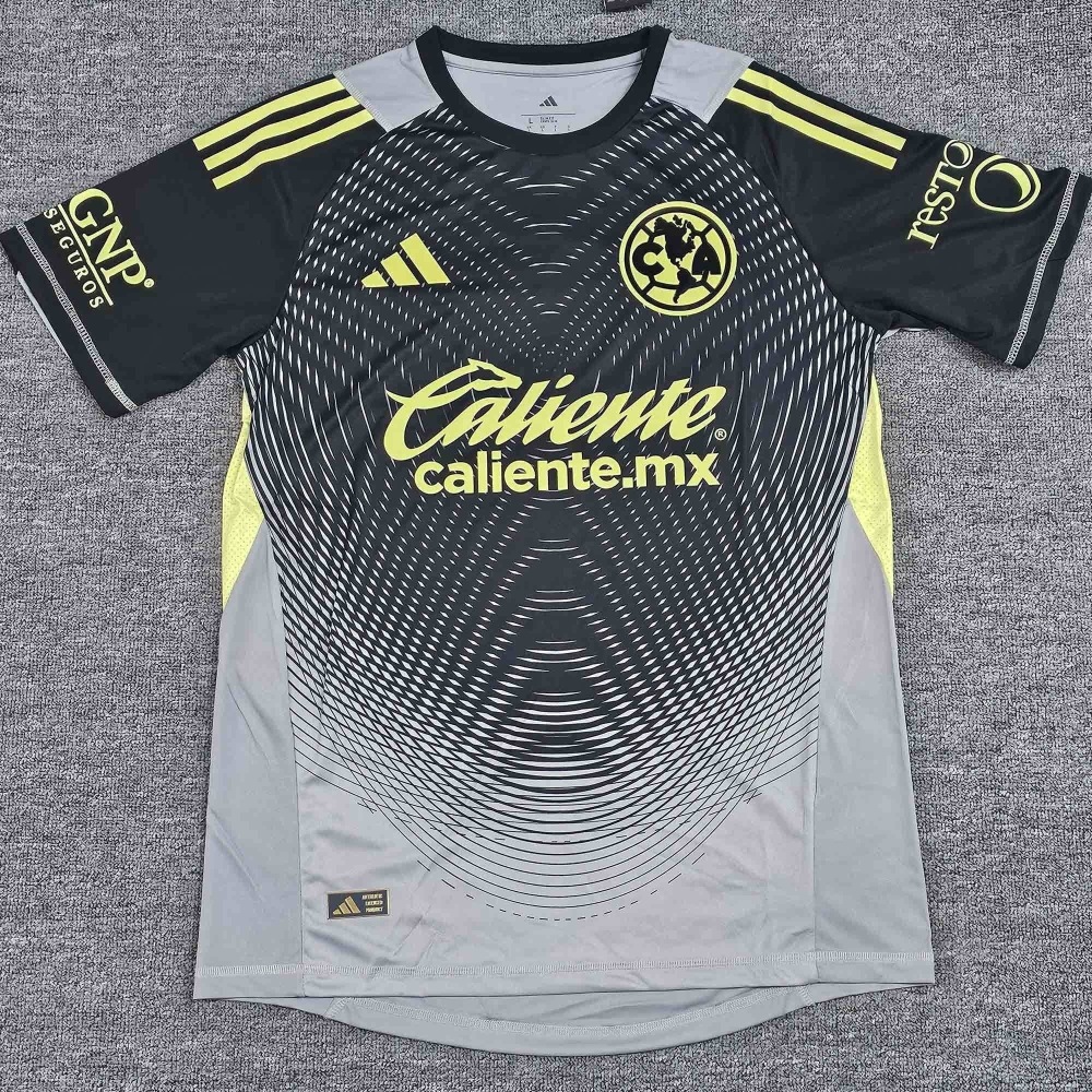 2526 Americas Goalkeeper Grey Player Short-Sleeve T-Shirt S-4XL