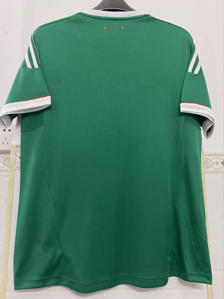 2011-12 Mexico home game