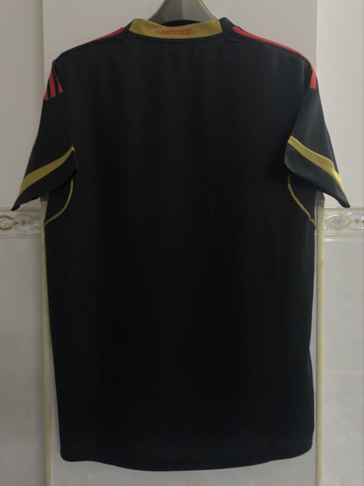 2011-12 Mexico away game