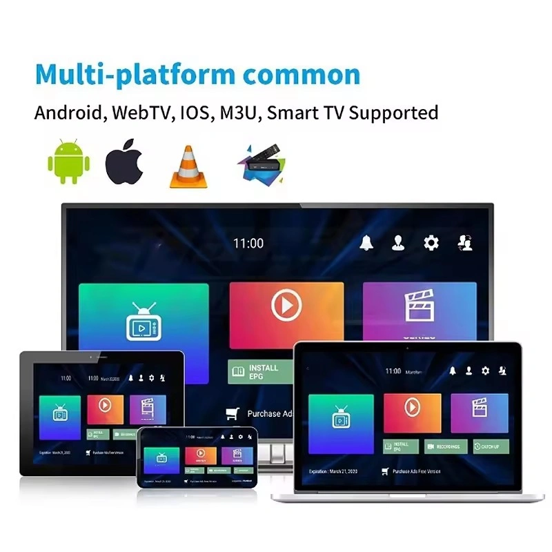 Italy Iptv Subscription Livego Datoo Panda Server IPTV for Android M3U Smart TV Xtream Code Smarters MAG PC Enigma2 4K HD Italia Sport Channels