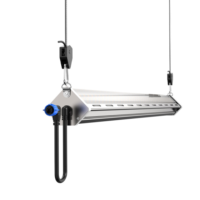 210° Large Beam Angle Undercanopy Light / 150 Watt Inter Canopy LED Grow Light IP65 Waterproof for Indoor Farming/Greenhouse/Horticulture