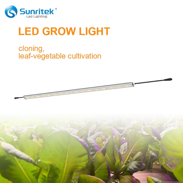 LED Grow Light | 80W/40W Supplemental Lighting | Customizable Light Bar | 240μmol/s PPFD@1ft, IP45 for Vertical Farms & Greenhouses Side Lighting