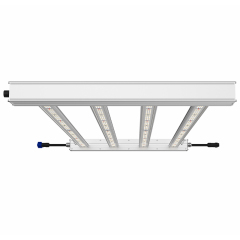 Special Offer Custom Lm301h 360w ODM OEM 4/6/8/10/12 Bars Energy-Saving Indoor LED Grow Light for Plant Growing