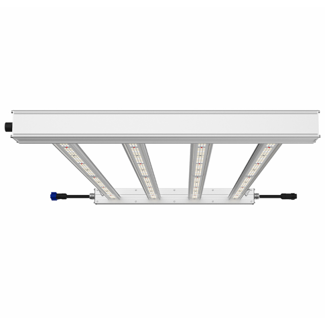 Special Offer Custom Lm301h 360w ODM OEM 4/6/8/10/12 Bars Energy-Saving Indoor LED Grow Light for Plant Growing