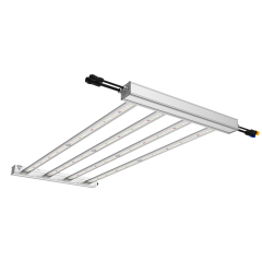 Special Offer Custom Lm301h 360w ODM OEM 4/6/8/10/12 Bars Energy-Saving Indoor LED Grow Light for Plant Growing