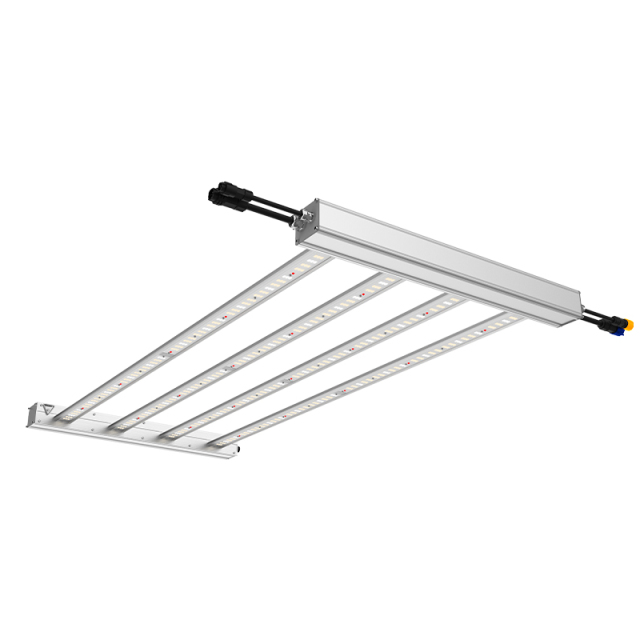 Special Offer Custom Lm301h 360w ODM OEM 4/6/8/10/12 Bars Energy-Saving Indoor LED Grow Light for Plant Growing