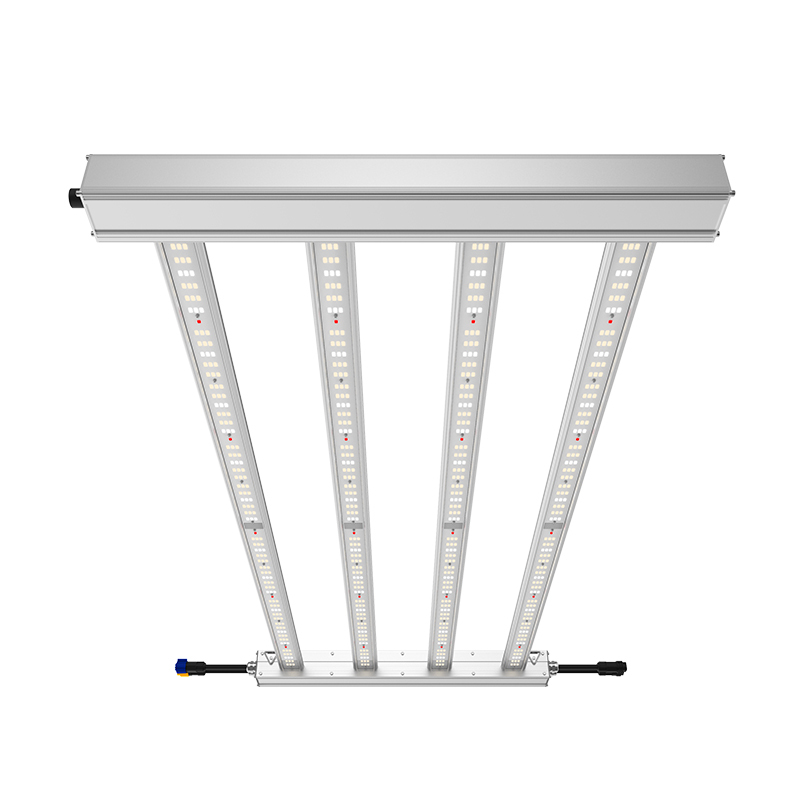 Special Offer Custom Lm301h 360w ODM OEM 4/6/8/10/12 Bars Energy-Saving Indoor LED Grow Light for Plant Growing