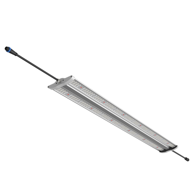 VS-Series Slim Grow Lights | 60W & 40W Vertical Farming LEDs | IP65 Waterproof Full Spectrum | Vertical Farming Light | Plant Factory LED Grow Light | Energy Efficient Horticulture Grow Lights