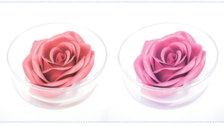 3D Rose Blush