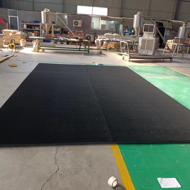 QTMAT PVC floor cover National Standard Taekwondo Wrestling Mats MMA Judo Training Tatami Mats For Sale