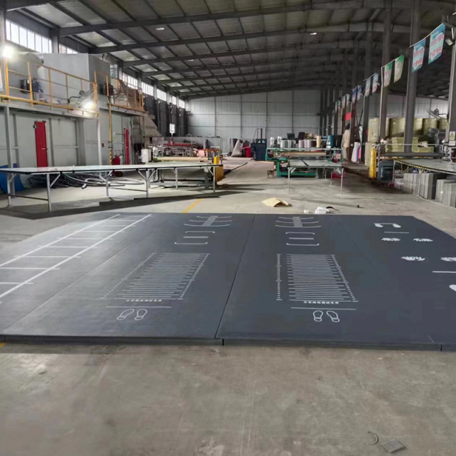 QTMAT Roll Out Cheerleading Gymnastics Mat Wrestling Boxing MMA and Tumbling Mats