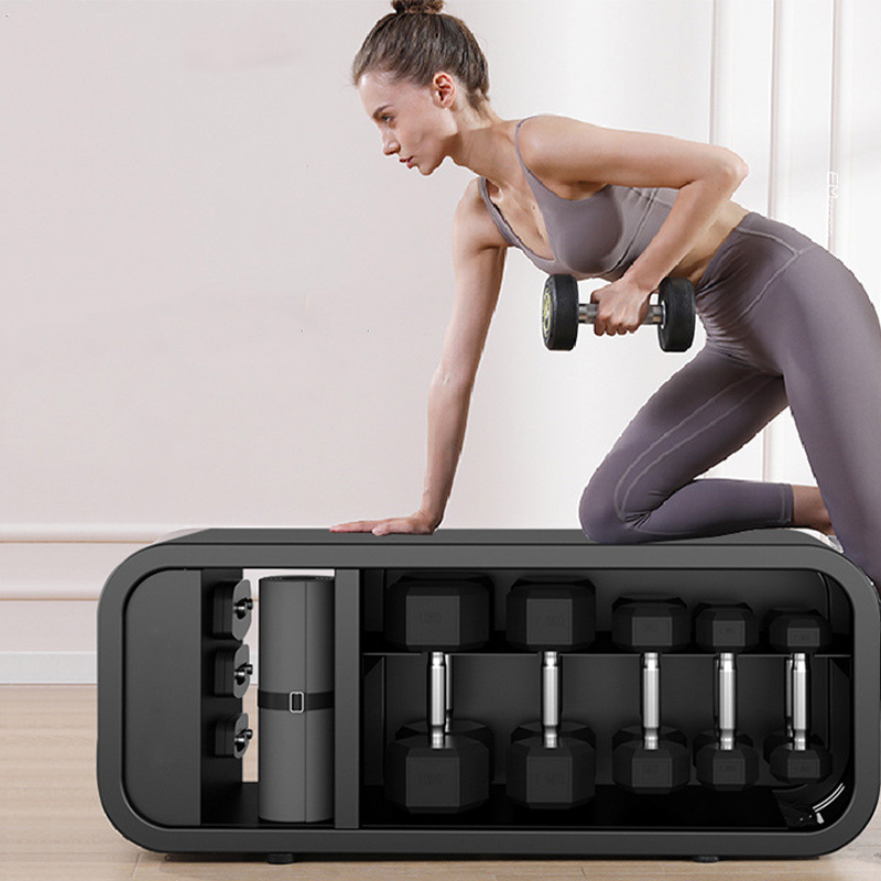 Adjustable Dumbbell Bench with Stable Steel Frame for Full Body Strength and Core Training at Home