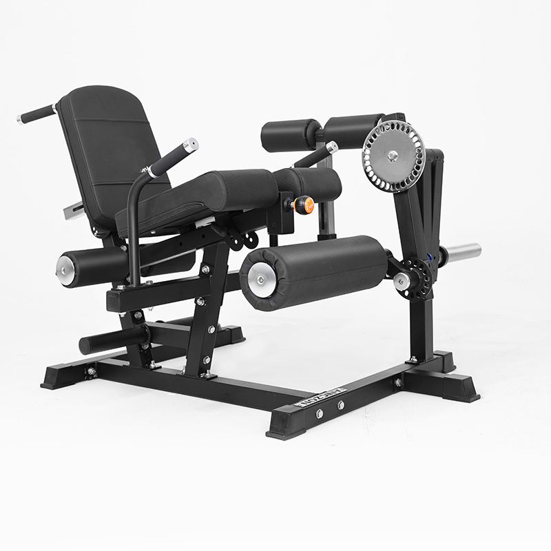 Multifunctional Leg Extension & Curl Machine