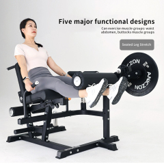 Multifunctional Leg Extension & Curl Machine