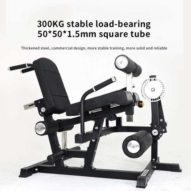 Multifunctional Leg Extension & Curl Machine