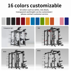 Professional Strength Rack - Bench Press & Squat Combo