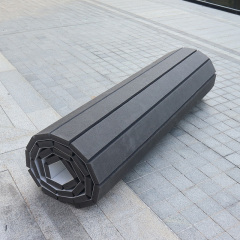 Multi Purpose Roll Up Mat for Fighting Sports
