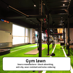 Gym Lawn Artificial Turf for Indoor and Outdoor Training Areas