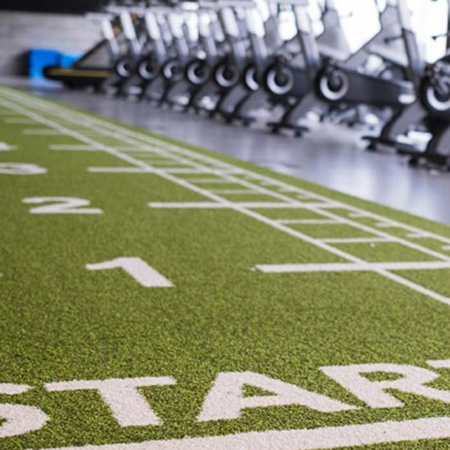 Gym Lawn Artificial Turf for Indoor and Outdoor Training Areas