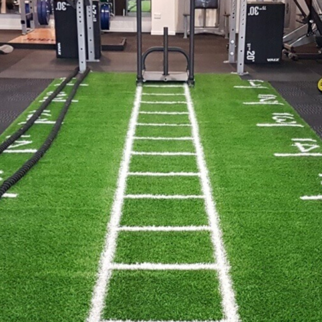 Gym Lawn Artificial Turf for Indoor and Outdoor Training Areas