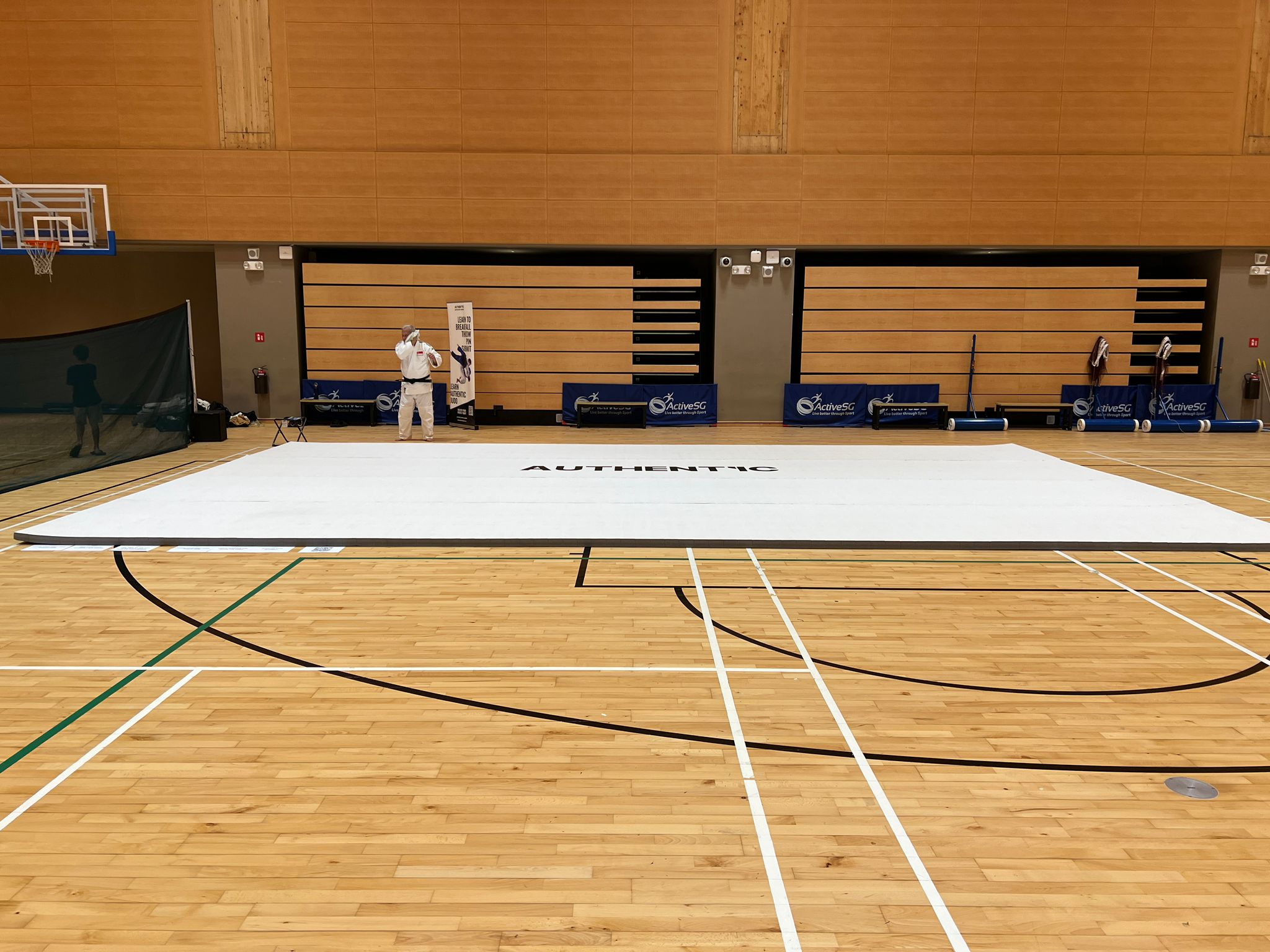 Martial arts MMA wrestling taekwondo