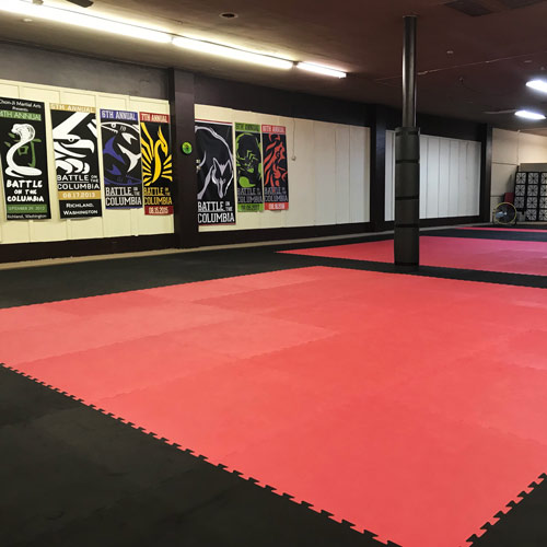 Martial Arts Dojo with Tatami Mats