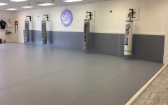 30ft Wrestling Roll Mat Ideal for Home Dojos