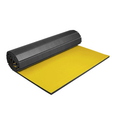 Multi-Purpose Mats for MMA Gyms and Martial Arts Training