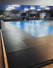 Versatile Judo Mat for Home and Dojo Training