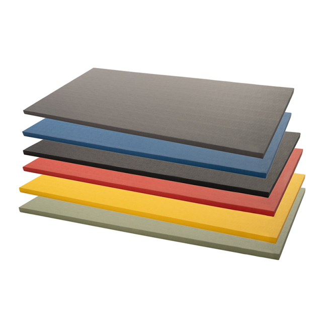 Premium Judo Mat with Tatami Texture for Dojo Training