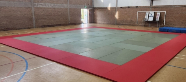 Training Center Textured Judo Mats