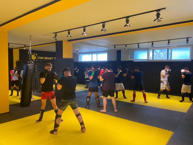 Interlocking EVA Gym Mats for Martial Arts and Fitness Training Durable Non-Slip Floor Mat