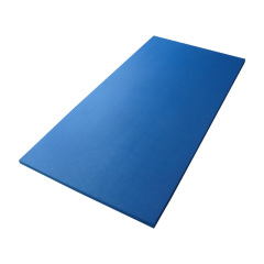 Practical Judo Mats Created for Controlled Technique and Safety Focus