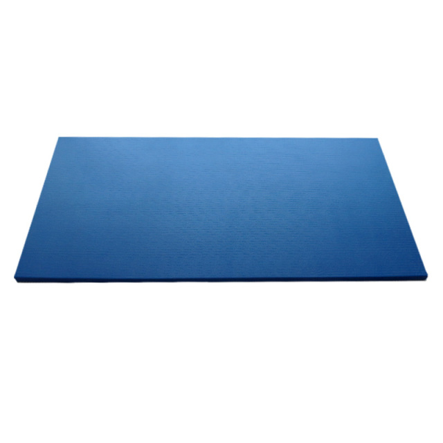 Practical Judo Mats Created for Controlled Technique and Safety Focus