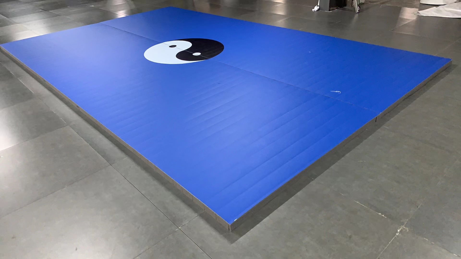 Roll Out Mat Setup Case