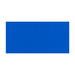 Blue Roll Out Mats with Lichi Surface for Taekwondo Dojos