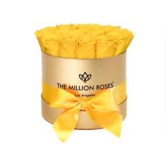 Classic gold round box for 14-15 roses