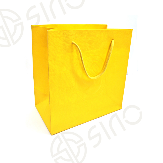 Luxury paper shopping bag