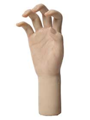Articulated Finger