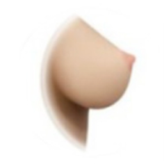 Solid breast