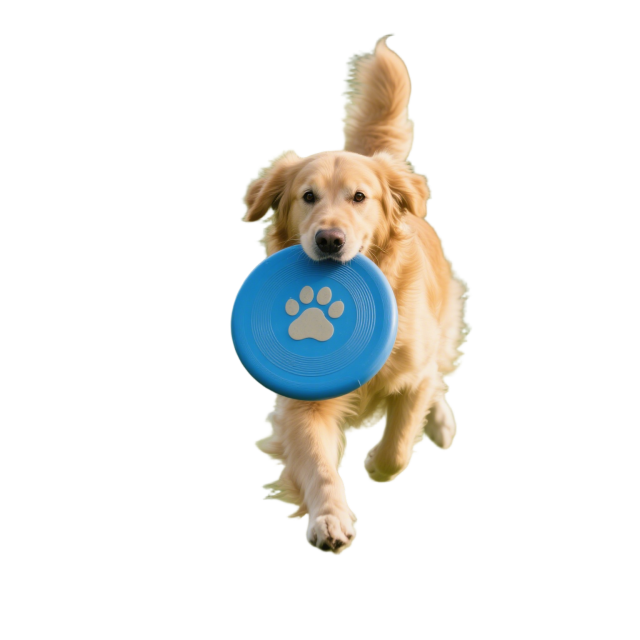 Dog Toy TPR Outdoor Frisbee with Multifunctional Eco-Friendly