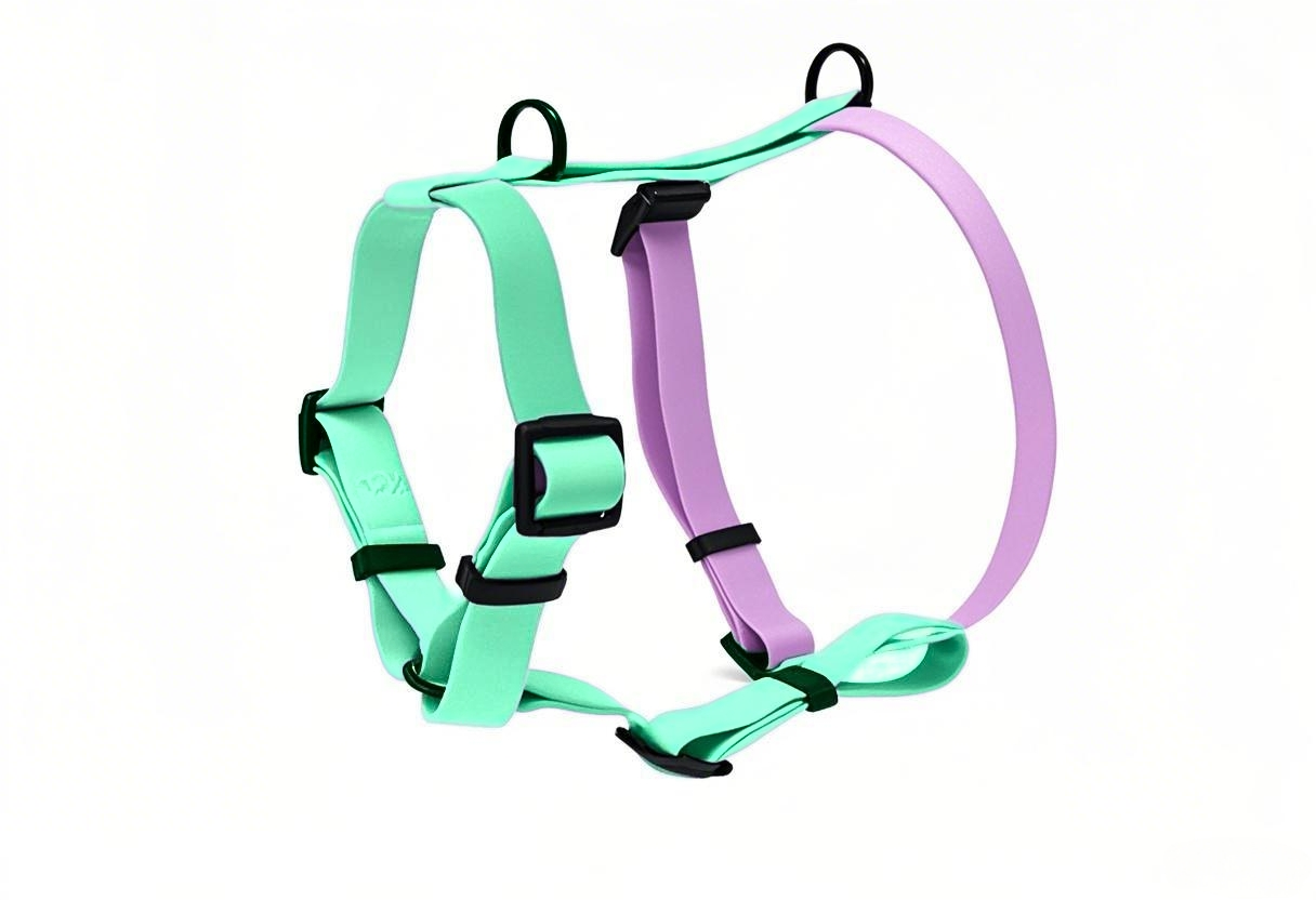 PVC-Coated Waterproof Dog Harness with Combined Multiple Colors Design