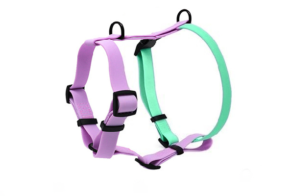 PVC-Coated Waterproof Dog Harness with Combined Multiple Colors Design