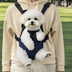 Fashion Pet Carrier Backpack with Outdoor Portable Breathable Mesh Polyester Design